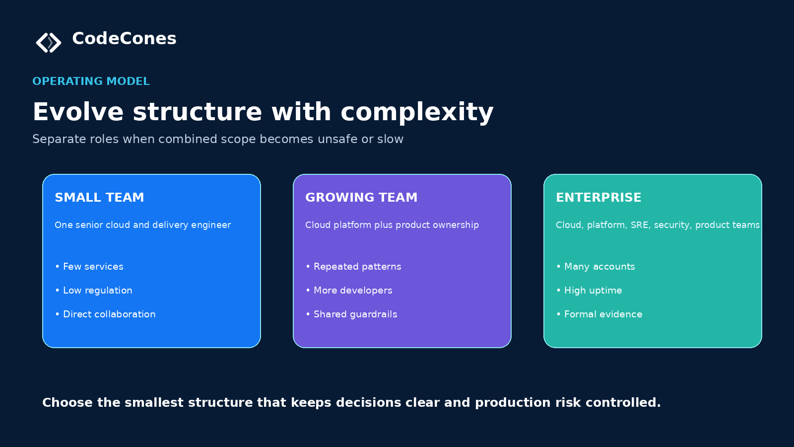 Team structure from a senior generalist in a small team to distinct platform and specialist roles at enterprise scale